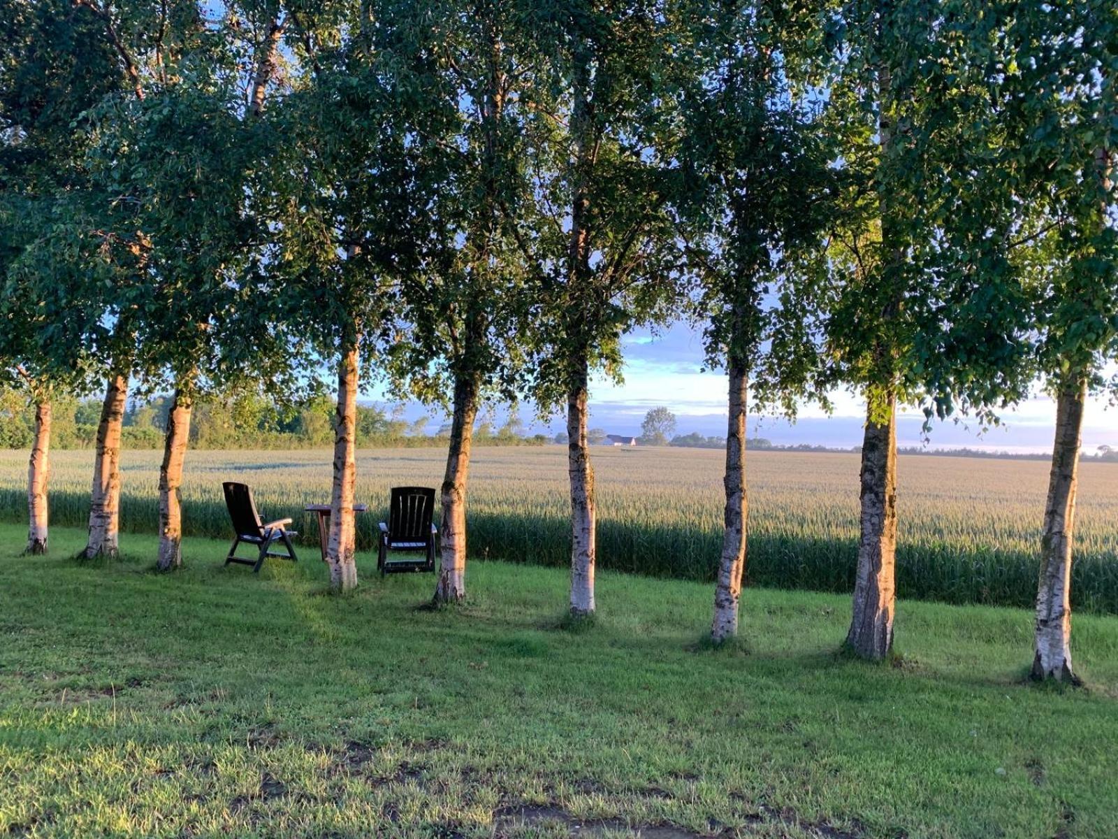 Stunning Romantic Cabin Close To Baltic See Idestrup Exteriér fotografie